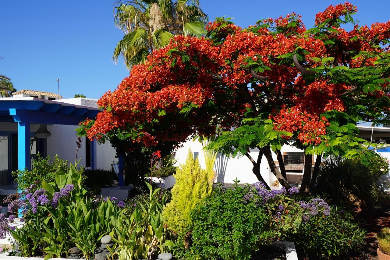 Vila Timfay Corralejo Exteriér fotografie