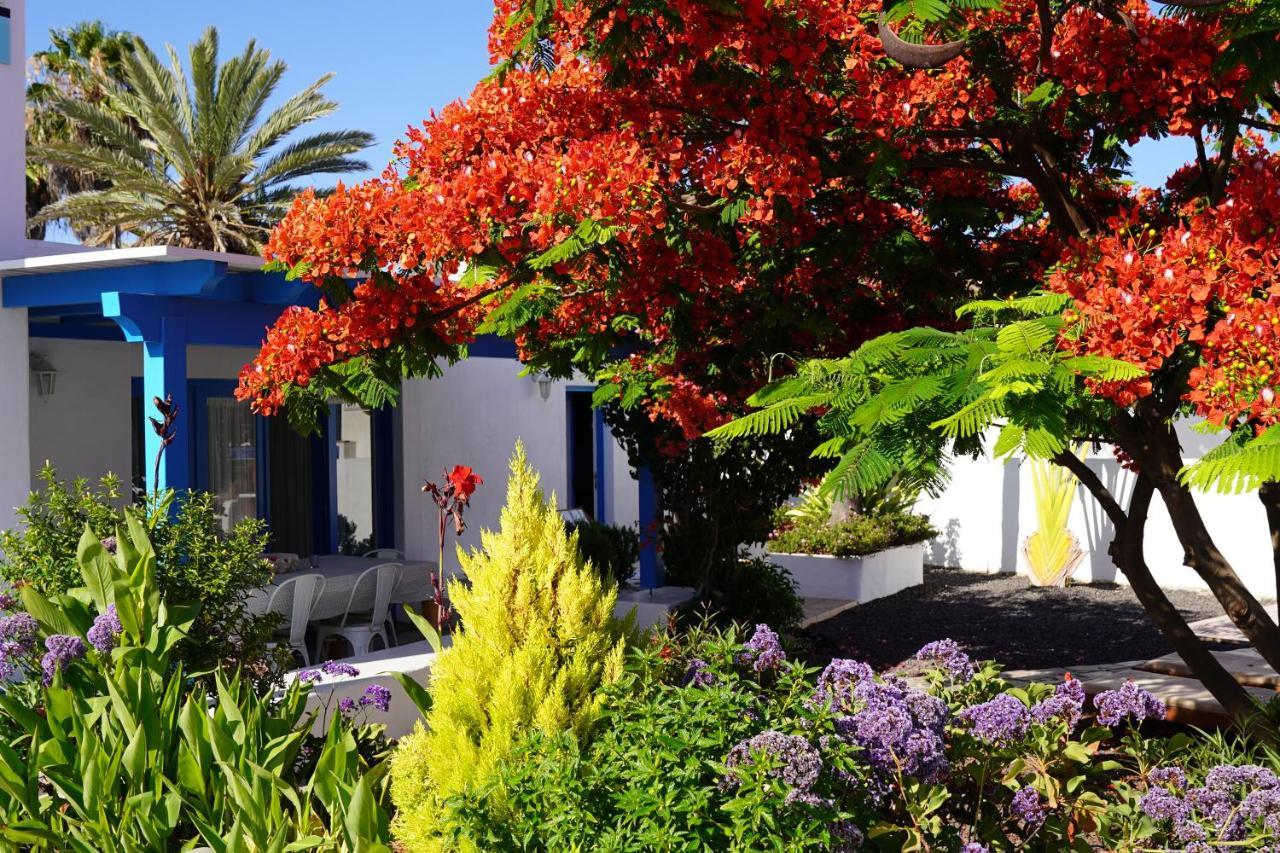 Vila Timfay Corralejo Exteriér fotografie