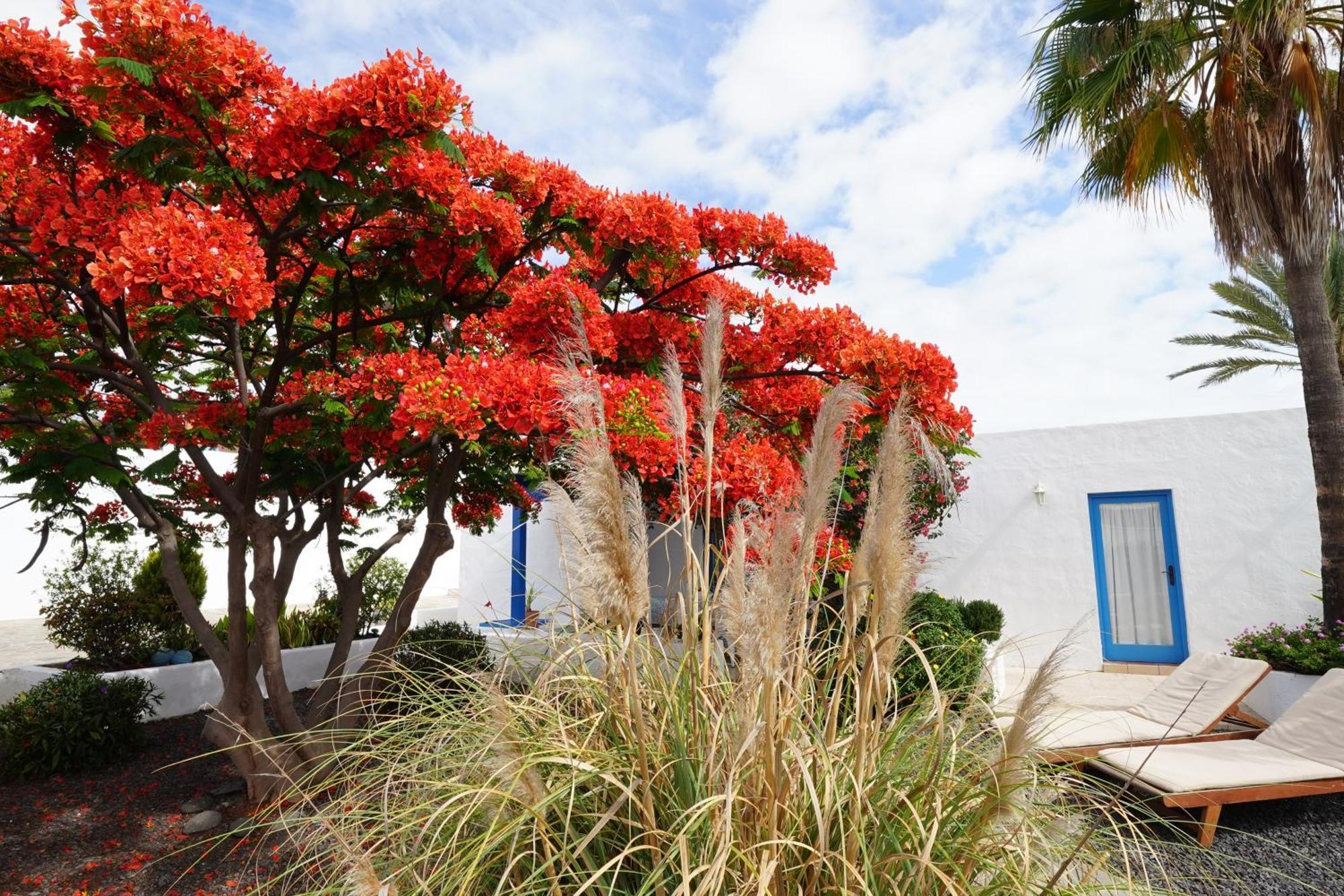 Vila Timfay Corralejo Exteriér fotografie